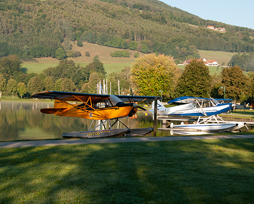 Wasserflugzege am Stubenbergsee